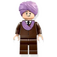 LEGO Professor Quirrell met Dark Bruin Pak Minifiguur